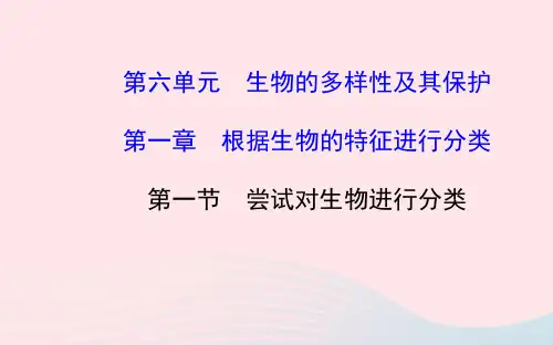 八年级生物上册 第六单元 第一章 第一节 尝试对生物进行分类课件 (新版)新人教版