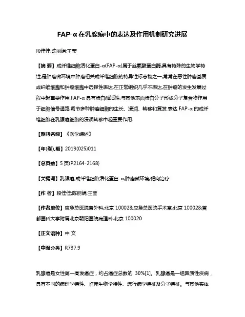 FAP-α在乳腺癌中的表达及作用机制研究进展