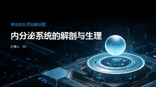 内分泌系统的解剖与生理