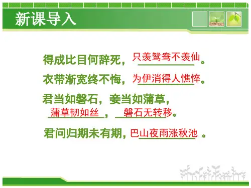 公开课课件《致橡树》