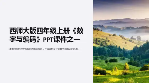 西师大版四年级上册《数字与编码》课件之一