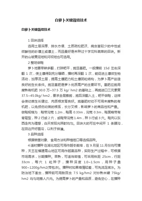 白萝卜关键栽培技术