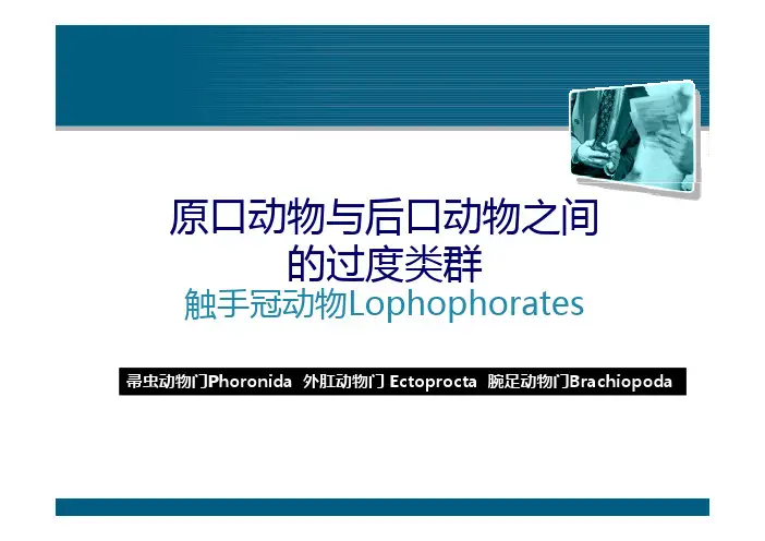 原口动物与后口动物之间的过度类群+[兼容模（1）%281%29