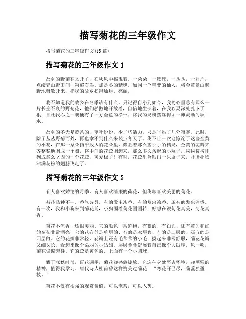 描写菊花的三年级作文