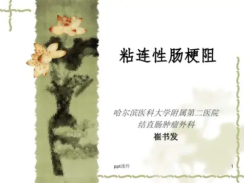 粘连性肠梗阻  ppt课件