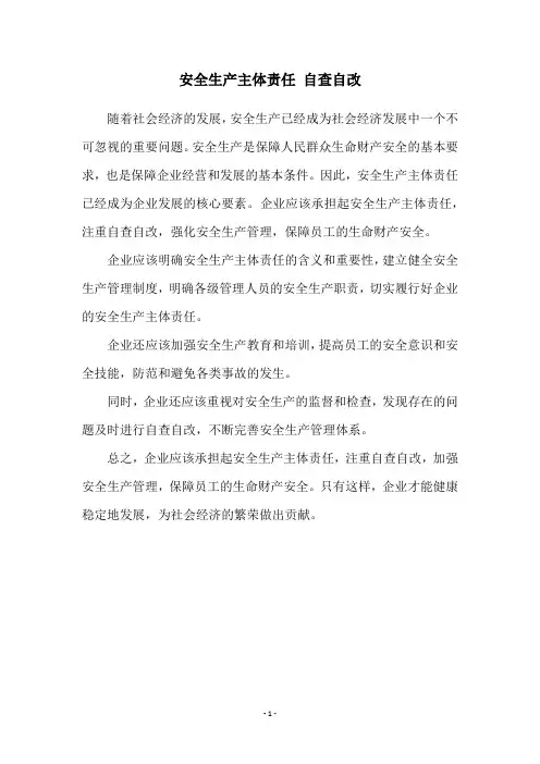安全生产主体责任 自查自改