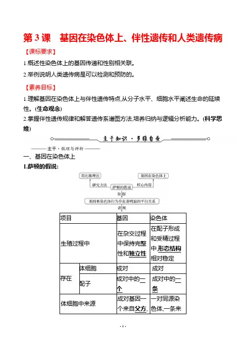5-3 基因在染色体上、伴性遗传和人类遗传病