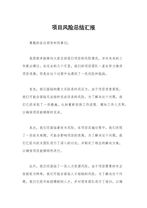 项目风险总结汇报