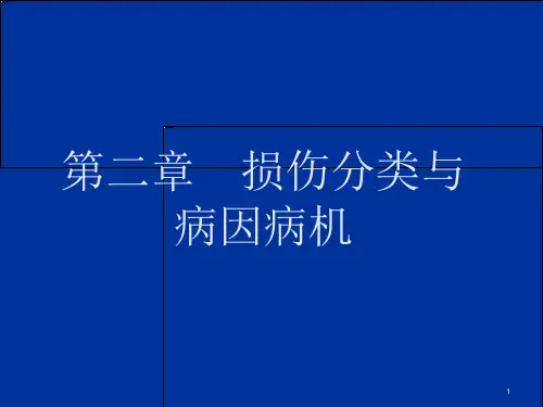 损伤分类与病因病机—中医伤科学课件