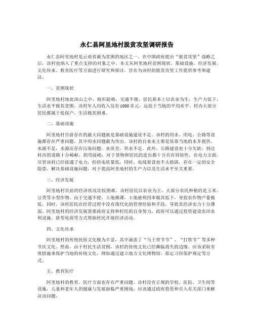 永仁县阿里地村脱贫攻坚调研报告