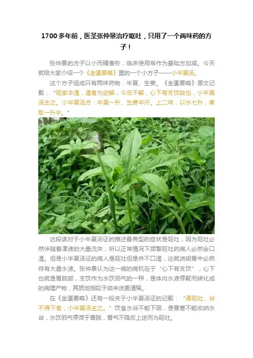 1700多年前，医圣张仲景治疗呕吐，只用了一个两味药的方子！