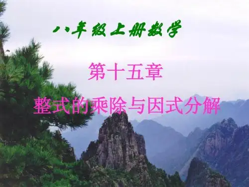 15.1.1整式的乘法