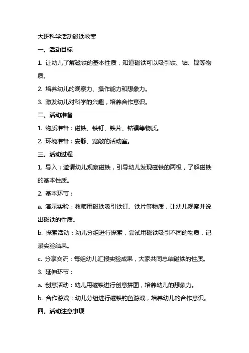 大班科学活动磁铁教案