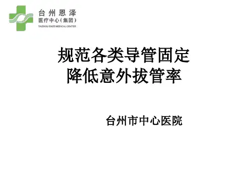 导管固定PPT
