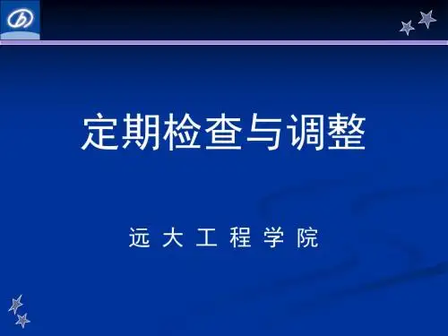 溴化锂定期检查(0903)讲解