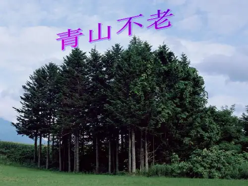 16-青山不老PPT课件-1