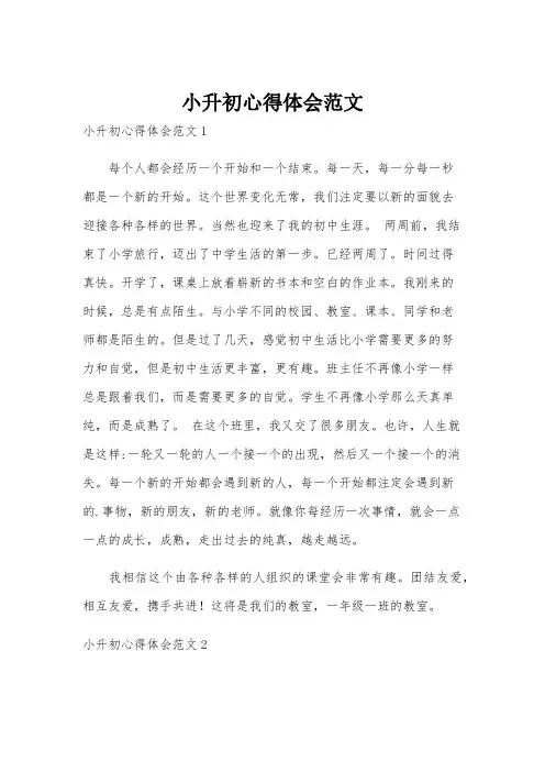 小升初心得体会范文