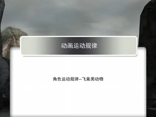 动画运动规律