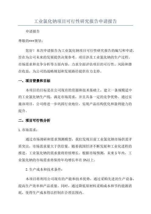 工业氯化钠项目可行性研究报告申请报告