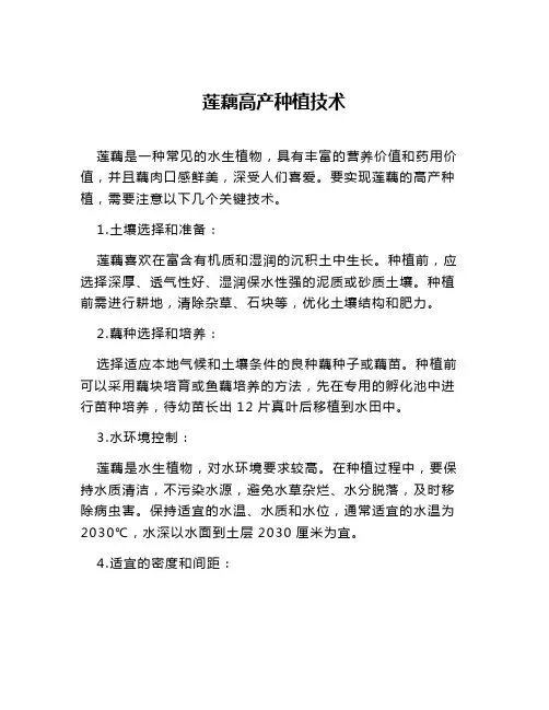 莲藕高产种植技术