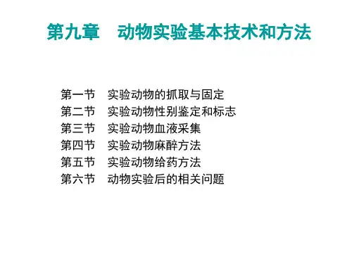 动物实验基本技术和方法及成功之路