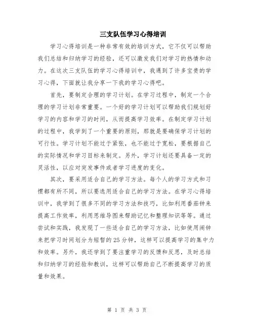 三支队伍学习心得培训