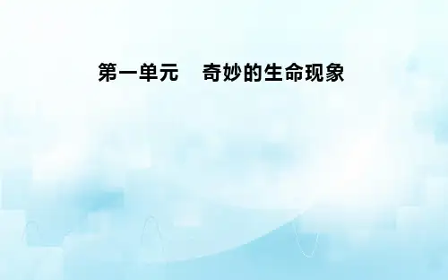 认识生命现象复习课件济南版生物七年级上册