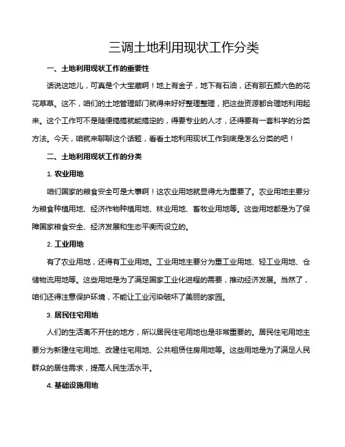 三调土地利用现状工作分类