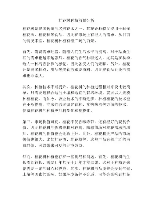 桂花树种植前景分析