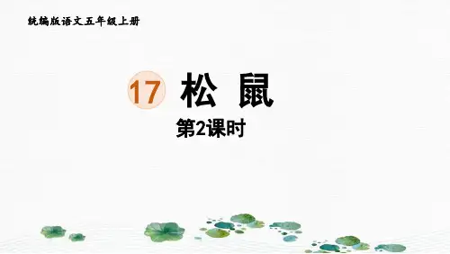 部编版五年级语文上册第17课《松鼠》课件