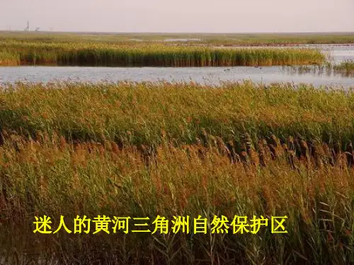高中地理3.2河流的综合开发优秀课件