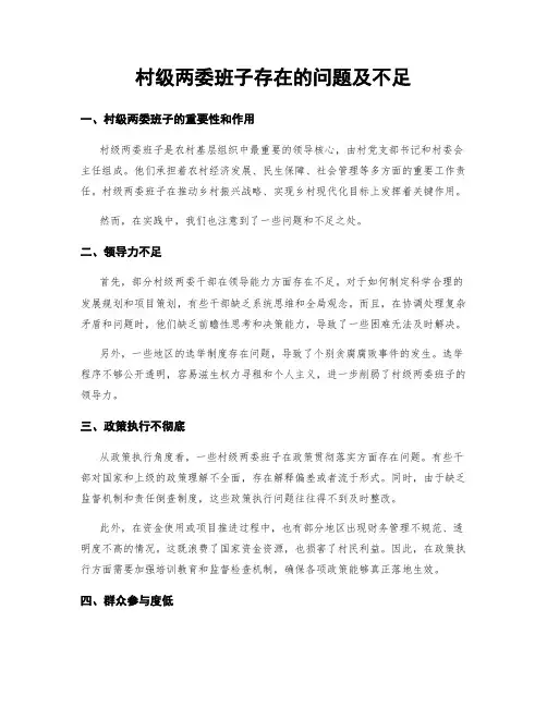 村级两委班子存在的问题及不足