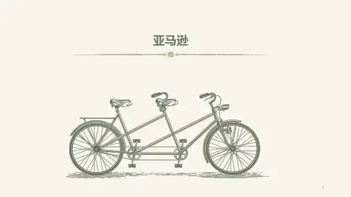 电子商务亚马逊案例PPT课件