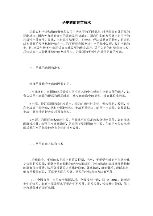 论枣树的育苗技术