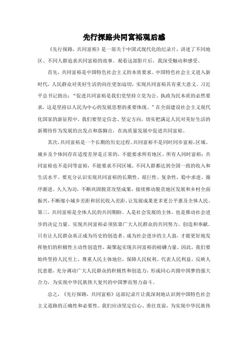 先行探路共同富裕观后感