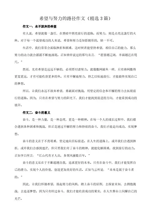 希望与努力的路径 作文(精选3篇)