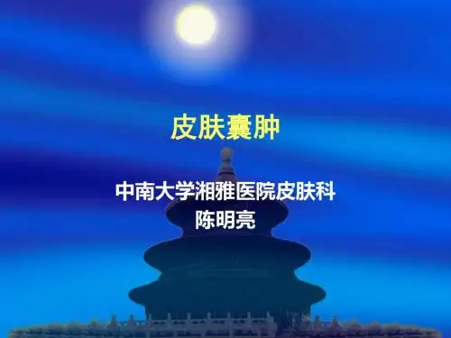 皮肤囊分析课件