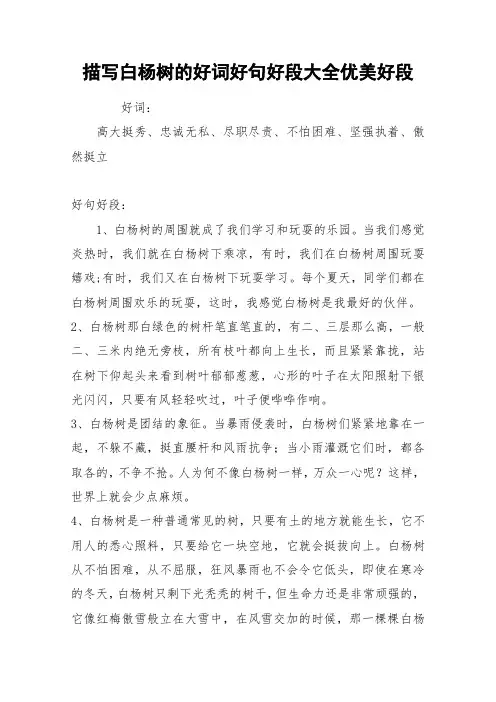 描写白杨树的好词好句好段大全优美好段_作文