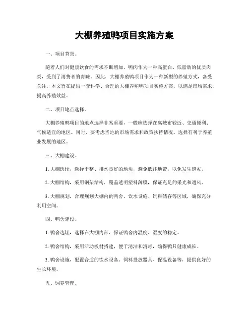 大棚养殖鸭项目实施方案