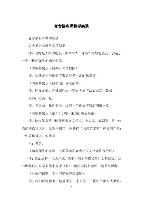 老舍猫名师教学实录