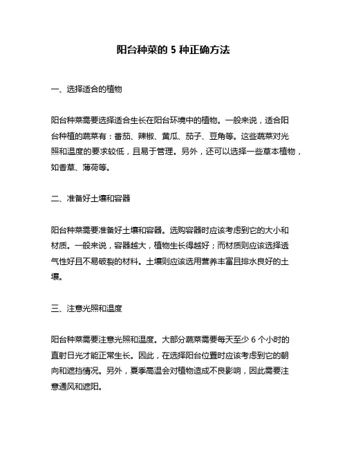 阳台种菜的5种正确方法