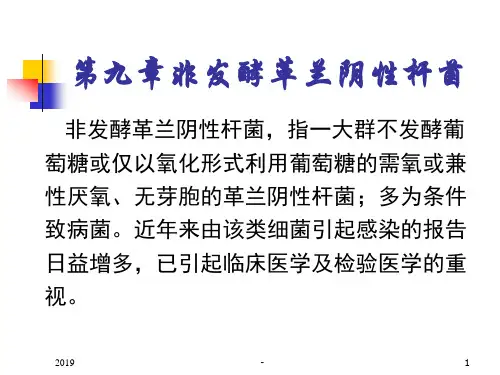 非发酵革兰阴性杆菌