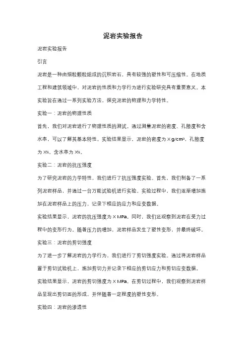 泥岩实验报告