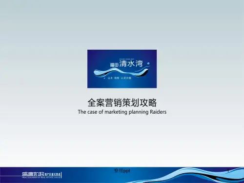 清水湾度假别墅项目全案营销策划攻略 2011-113页