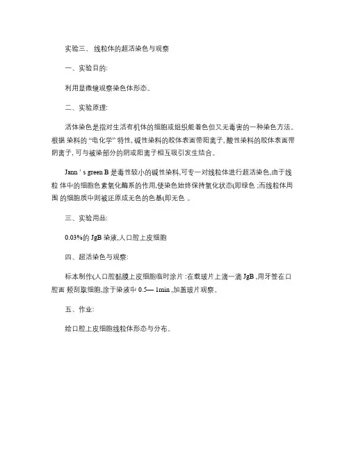 实验三 线粒体的超活染色与观察.