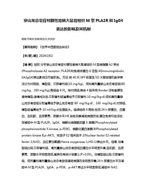 穿山龙总皂苷对膜性肾病大鼠肾组织M型PLA2R和IgG4表达的影响及其机制