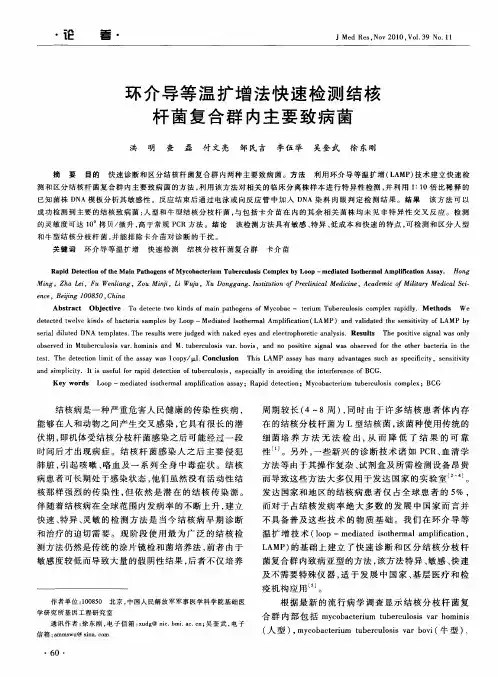 环介导等温扩增法快速检测结核杆菌复合群内主要致病菌