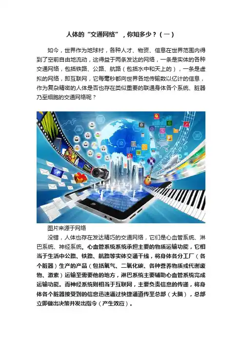 人体的“交通网络”，你知多少？（一）