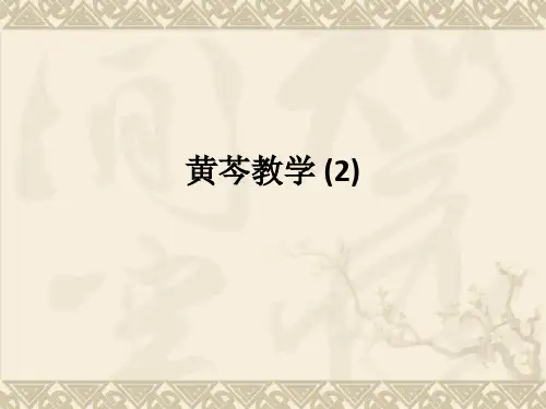黄芩ppt课件 (2)