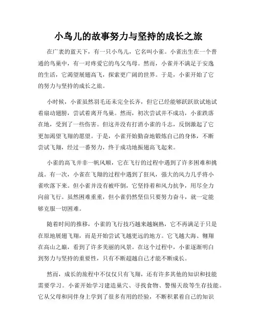 小鸟儿的故事努力与坚持的成长之旅